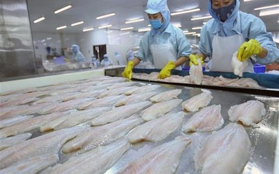 Nhiều cơ hội xuất khẩu cho cá tra Việt Nam sang 10 nước thành viên CPTPP