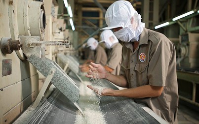 Trung Quốc đã xuất khẩu gạo, trở thành đối thủ tiềm tàng của Việt Nam