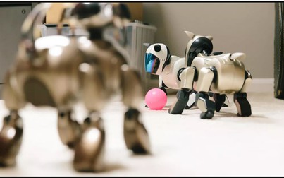 Sony trình làng những chú chó robot