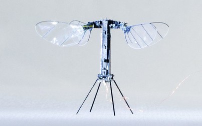 Thiết bị bay 4 cánh siêu nhỏ RoboBee X-Wing