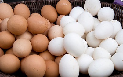 Xem để biết bạn nên ăn trứng gà màu nâu hay màu trắng