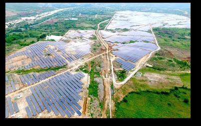 Dự án năng lượng Mặt trời lớn nhất Việt Nam đi vào hoạt động