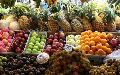 Xuất khẩu rau và hoa quả tươi sang thị trường châu Âu cần biết những điều này