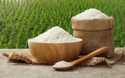 Dự báo cung cầu gạo thế giới niên vụ 2019/20