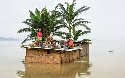 Lũ lụt hoành hành ở Nam Á cướp đi sinh mạng hơn 100 người