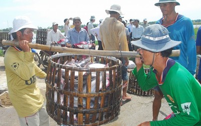 Doanh nghiệp Việt cần tuân thủ quy tắc xuất xứ để hưởng lợi khi xuất khẩu