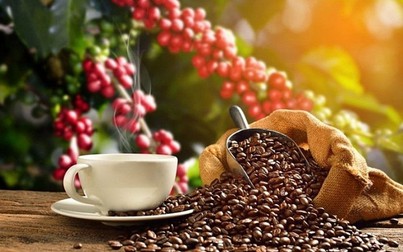 Việt Nam là nhà cung ứng cà phê lớn nhất cho Tây Ban Nha