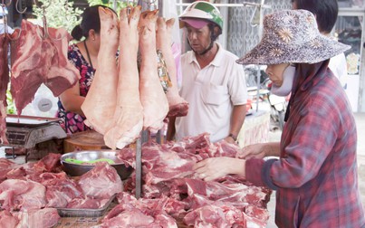 Giá thịt heo bán sỉ tiếp tục giảm nhẹ