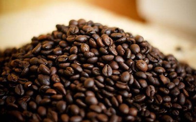 Giá cà phê duy trì ở mức thấp phiên đầu tuần