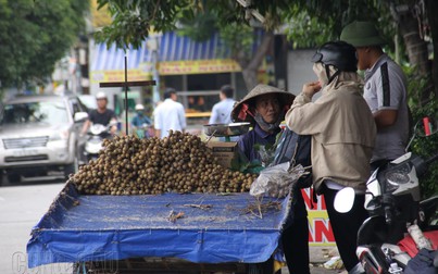 Dù chưa vào mùa, nhãn lồng Hưng Yên vẫn rẻ bất ngờ ở Sài Gòn