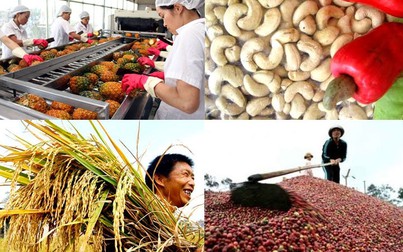 Những thách thức của nông sản khi Việt Nam tham gia EVFTA