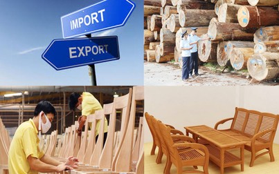 Đức và Đài Loan tăng mạnh nhập khẩu gỗ từ Việt Nam
