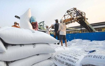 Giá gạo xuất khẩu Việt Nam giảm liên tiếp trong 2 tuần