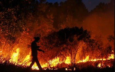 Những vụ cháy rừng lớn trên thế giới trong thời gian qua
