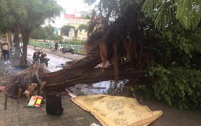 Mưa giông làm đổ hàng loạt cây trên phố Hà Nội, 1 nam thanh niên tử vong
