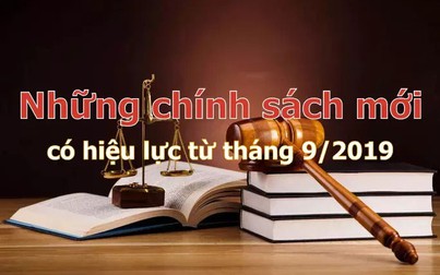 Những chính sách mới nổi bật có hiệu lực từ tháng 9/2019