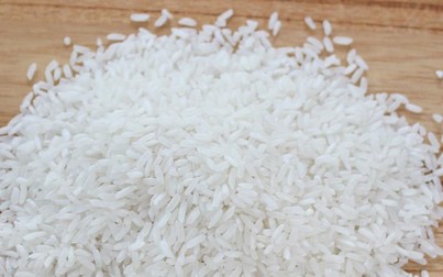Giá lúa gạo ngày 10/9:  Thượng hạng Yến gạo tăng lên 23.000 đồng/kg