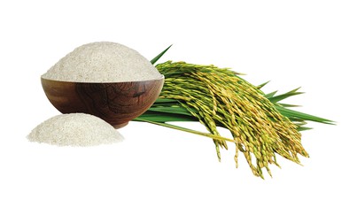 Giá lúa gạo ngày 14/9: Nếp Bắc tăng đến 2000 đồng/kg