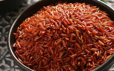 Giá lúa gạo ngày 19/9: Đặc sản Huyết Rồng tăng 1.000 đồng/kg