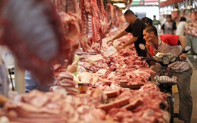 Giá thịt heo tại Việt Nam liệu có lên “cơn sốt” như Trung Quốc?