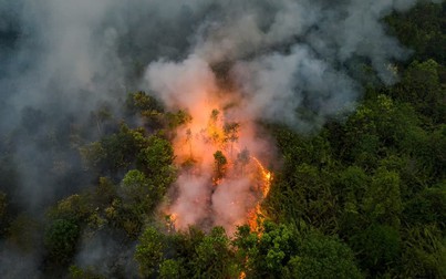 Cháy rừng khiến hơn một triệu người Indonesia thở hổn hển