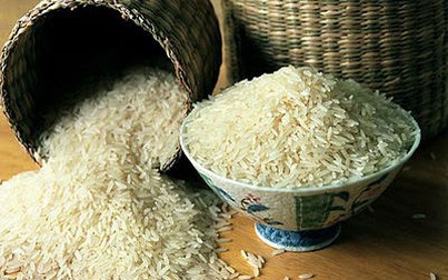 Giá lúa gạo ngày 28/9: Thơm Thái, Mỹ giảm giá