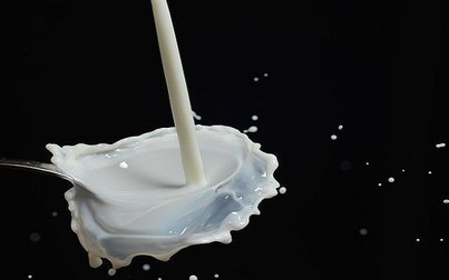 Sữa có thể thoa trực tiếp lên mặt để dưỡng da, trị mụn không?