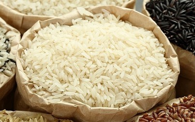 Giá lúa gạo ngày 29/9: Các loại nếp tăng nhẹ