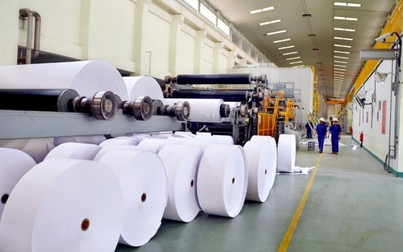 Việt Nam giảm nhập khẩu giấy
