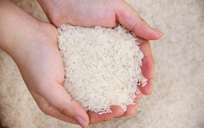 Úc thay đổi quy trình kiểm tra đối với gạo
