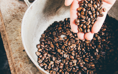 Báo cáo ngành hàng cà phê tháng 9/2019: Biến động không đồng nhất