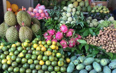Giá một số loại trái cây tăng gấp 3 lần trong tháng qua