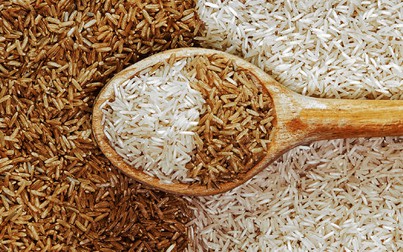 Giá lúa gạo ngày 2/10: Lức trắng tăng giá