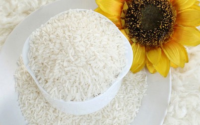 Giá lúa gạo ngày 2/10: Sơ Ri, 404 tăng giá
