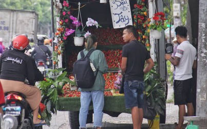 Dâu tây Mộc Châu giá "chát", 350.000 đồng/kg tại vỉa hè Sài Gòn