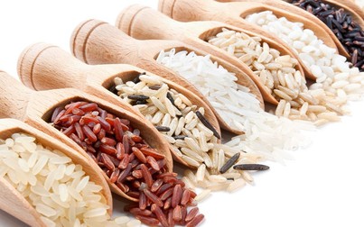 Giá lúa gạo ngày 12/10: Giữ giá vào cuối tuần