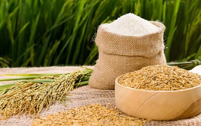 Doanh nghiệp Việt Nam thận trọng với hợp đồng xuất khẩu gạo vào Philippines
