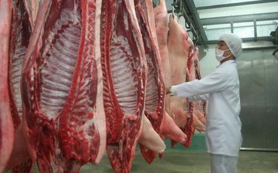 Giá thịt heo tăng cao, Chính phủ tính đến phương án nhập khẩu thịt