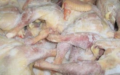 Gần 200.000 tấn gà nhập khẩu về Việt Nam, giá chỉ 19.000 đồng/kg