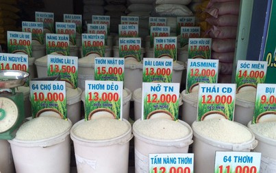 Giá lúa gạo ngày 18/10: Gạo tím, Đài Loan biển giảm nhẹ