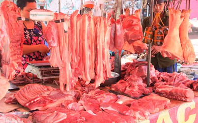 Giá thịt heo tại chợ đầu mối dần ổn định