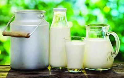 Nhập khẩu sữa và sản phẩm sữa giảm tháng thứ hai liên tiếp