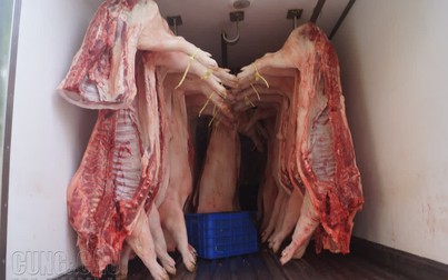 Giá thịt heo càng tăng sẽ càng kích thích các doanh nghiệp nhập thịt