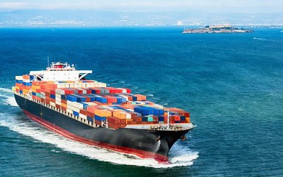 Doanh nghiệp xuất khẩu thủy sản gặp khó vì cước tàu biển tăng cao