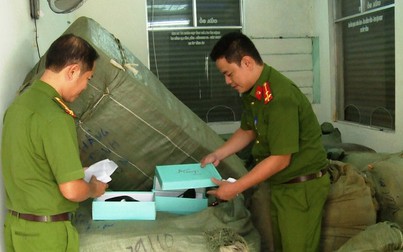 Bắt giữ lô hàng lậu trên tàu SE19 tại Đà Nẵng