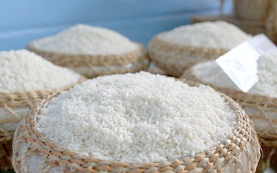 Giá gạo đầu tuần ổn định, nếp Ngồng tăng nhẹ