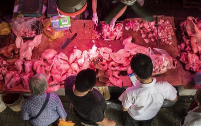Giá thịt lợn quá cao, người Trung Quốc chỉ dám đứng nhìn không dám mua