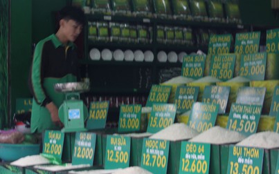 Giá gạo ổn định đầu tuần, đặc sản Long Lân giảm nhẹ 500 đồng/kg