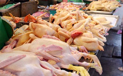 Thịt gà giảm 9.000 đồng/kg tại siêu thị