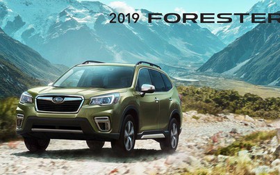 Giá ô tô Subaru tháng 12/2019: Forester đang cực hot